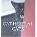 Cathedral Cats