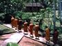 Buddhism: Path to Enlightenment (Home Use)