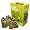 601131600 - Zoch - Cross Boule c³ Jungle