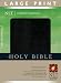 Compact Edition Bible NLT, Large Print