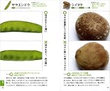 奥田政行の食材スーパーハンドブック 画像