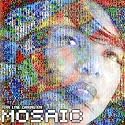 The Mosaic Project