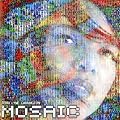 The Mosaic Project