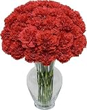 Deluxe Red Carnation 30 stems with Hourglass Vase