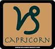 Capricorn Toll Pass Holder