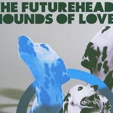 Hounds of Love