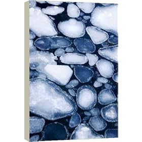 16 Inch Box Canvas (40cm) Pancake ice by Science Photo Library