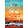Im Schatten des Feuerbaums: Roman (Knaur TB)