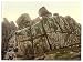 Penzance, Logan Rock, Cornwall, England wall sized print (photochrom) photochrome , 8x10