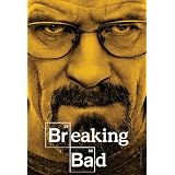 Breaking Bad: The Complete Fourth Season