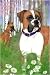   - Boxer Garden Flag2008