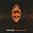 Voodoo Swing - Live in Concert