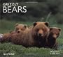 Grizzly Bears (Worldlife Library)