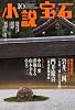 小説宝石 2013年 10月号 [雑誌]