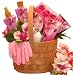 Tickled Pink Spa Set- Bath and Body Gift Basket