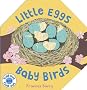 Little Eggs, Baby Birds (Fold Out and Find Out)