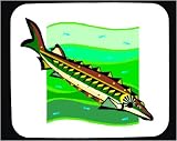 Mouse Pad with marine, ocean, sea, sturgeon, fish