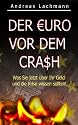 DER EURO VOR DEM CRASH! - Was Sie jetzt &uuml;ber Ihr Geld und die Krise wissen sollten!