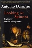 Looking for Spinoza: Joy, Sorrow, and the Feeling Brain