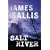 Salt River: A Novel