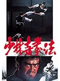 少林寺拳法