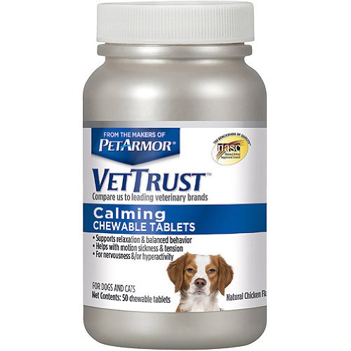 Travel Chews Motion Sickness Relief The Cat Problems