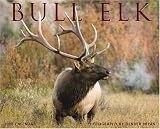 Bull Elk 2008 Calendar
