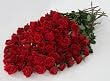 Send Fresh Cut Flowers - 100 Long Stem Red Roses