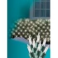 Philips 150ct Net Lights - Clear