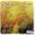 311 - Grassroots