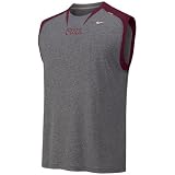 Nike Florida State Seminoles (FSU) Ash Sleeveless Dri-FIT Training Top