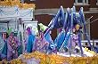 New Orleans' Mardi Gras is Bugged Photograph - Beautiful 16"x20" Photographic Print by Carol M. Highsmith