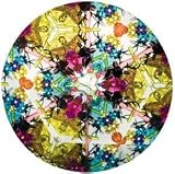 9 inch Classic Kaleidoscope Toy: NORTH AMERICAN WILDLIFE Design