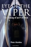 Eye of the Viper: The Making of an F-16 Pilot
