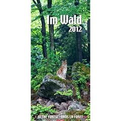 Im Wald 2012