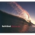 Buckethead - Electric Sea