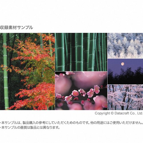 素材辞典 Vol.146 四季・日本の花木編