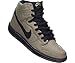 Nike SB Dunk High Premium (Paper Bag)