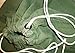 US Military Barracks Cotton Canvas Laundry Bag, Olive Green