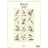 Birds, Song Birds Cavallini 2009 Vintage Prints Wall Calendar 13 by 19 inches cream laid paper finish