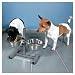 TRIXIE 24921 Hundebar mit 2 Edelstahlnpfen, 1,8 l/ 20 cm