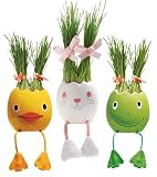 Nyokki! Handcrafted Egg Pet Plants, in Bunny
