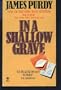 In a Shallow Grave