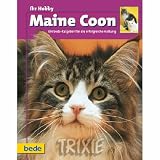 Eigenschaften Trixie  / 017453 Maine Coon / Kieselbach