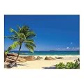 Seychelles Wall Mural - 8'10"x6'4"