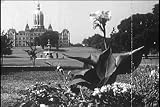 Classic Connecticut Film Dvd: 1950s State of Connecticut History, Tourism & Culture Pictures Films Including Cityscapes of Hartford & Bridgeport and a Visit to John Browns Birthplace.