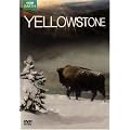 Yellowstone [Import anglais]