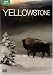 Yellowstone DVD  from BBC