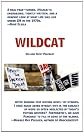 Wildcat