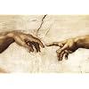 God & Adam Creation Of Life Huge Laminated Poster